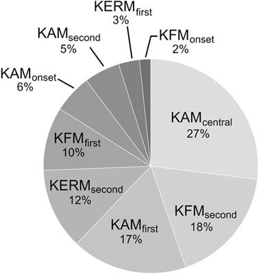 Diverse parameters of ambulatory knee moments differ with medial knee osteoarthritis severity and are combinable into a severity index